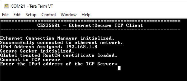 secure-tcp-client-pre-connection.png