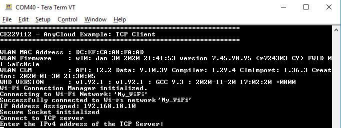 tcp-client-sta-pre-connection.png