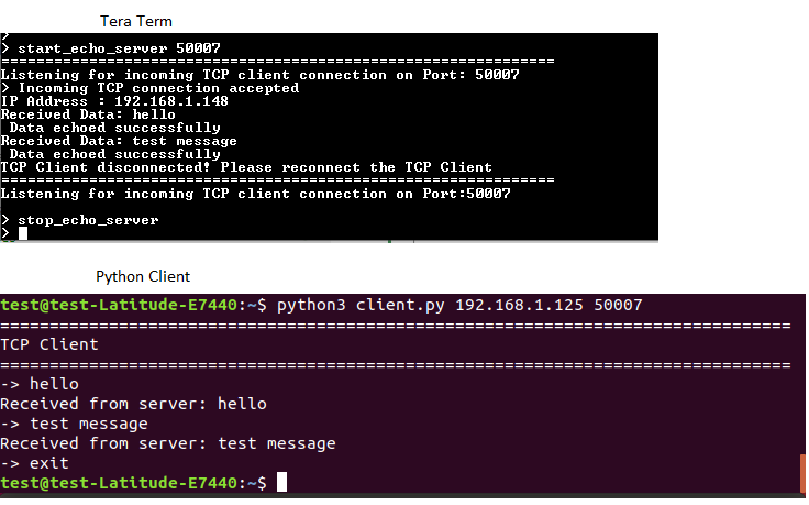 echo-server-python-client.png